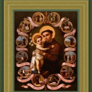 Profile photo of AnTôn Cã Ngô Tuyến