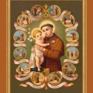 Profile photo of AnTôn Cã Ngô Tuyến