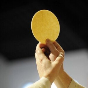 Profile photo of Nguyen Vo