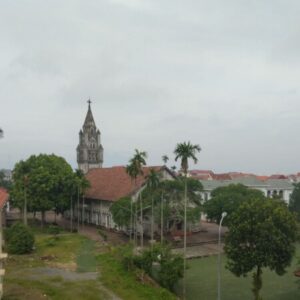 Profile photo of Giuse Nguyễn Đình Tân