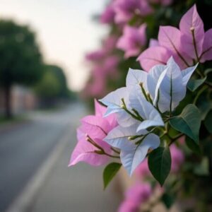 Profile photo of Maria Nguyễn Xuân Thảo