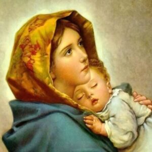 Profile photo of Anna Lê Minh Thư