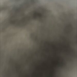 Profile photo of Phêro Nguyễn Công Vinh