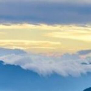 Profile photo of Trân Châu Nguyễn Thị