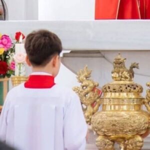 Profile photo of Khang Nguyễn Vũ Bảo