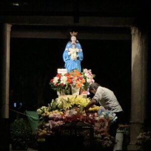 Profile photo of Pháp Ngô