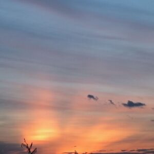 Profile photo of bảo châu lê