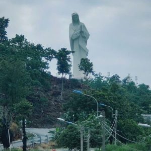 Profile photo of Anna Phạm Nhi