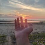 Gioan Baotixita Trần Thanh Tuấn