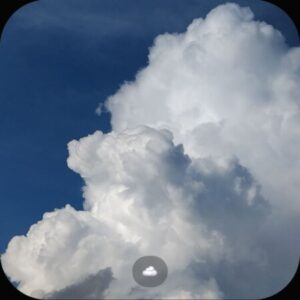 Profile photo of Maria Thiên Vũ