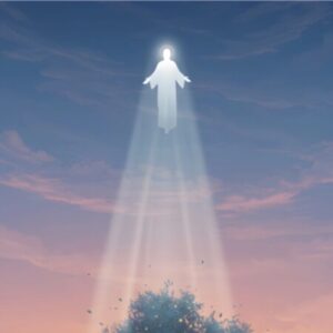 Profile photo of Ngọc anh Hà