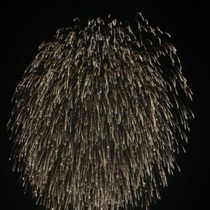 Profile photo of Maria Cát Vũ