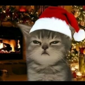 Profile photo of Gioan Baotixita Ngô đình Tùng