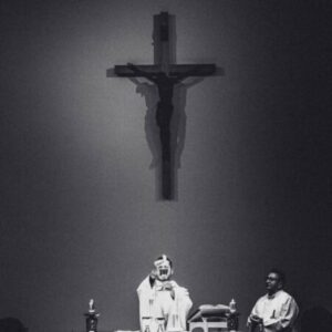 Profile photo of Tôma Trần Ngọc Minh