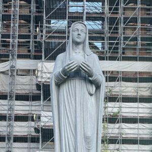 Profile photo of Vicentê Nguyễn Thái Dương