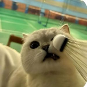 Profile photo of Lucia Nguyễn Phạm Huyền My