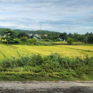 Profile photo of Đủ Đinh