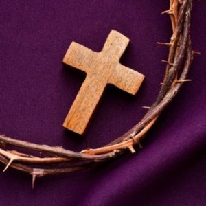 Profile photo of Têrêsa Phạm MOON