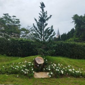 Profile photo of Phaolô Nguyễn Quốc Hoàng Thiên