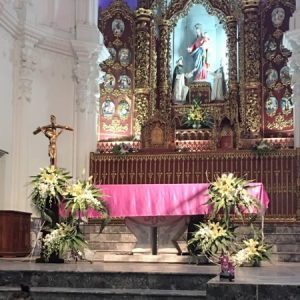 Profile photo of Maria Nguyễn Ngọc Linh Chi