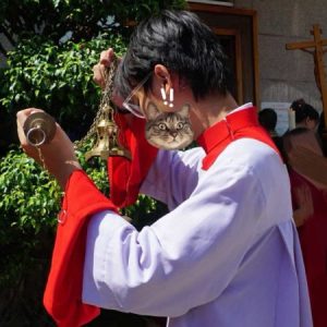 Profile photo of Giuse Trương Gia Khang