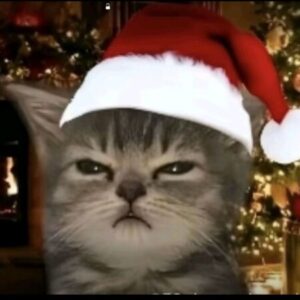 Profile photo of Maria Nguyễn Kim