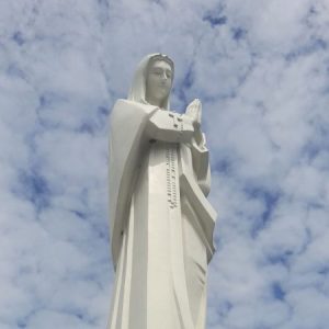 Profile photo of Đaminh Cao Minh Tâm