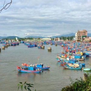 Profile photo of Phêrô Nguyễn Thanh