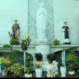 Profile photo of Phêrô Võ Tuấn Đạt