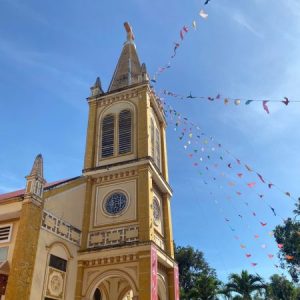 Profile photo of Giuse Jos Ng