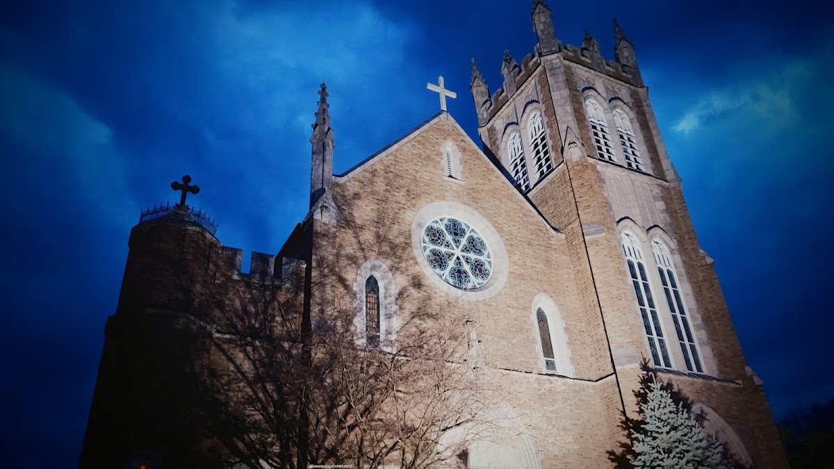 Group cover image