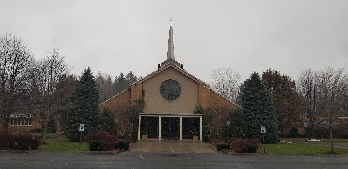 Group cover image