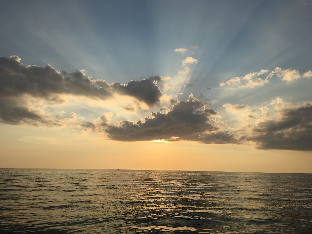 Group cover image