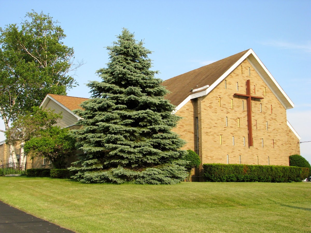 Group cover image