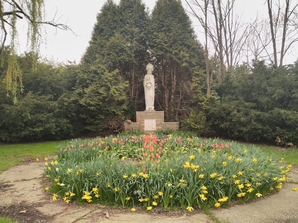 Group cover image