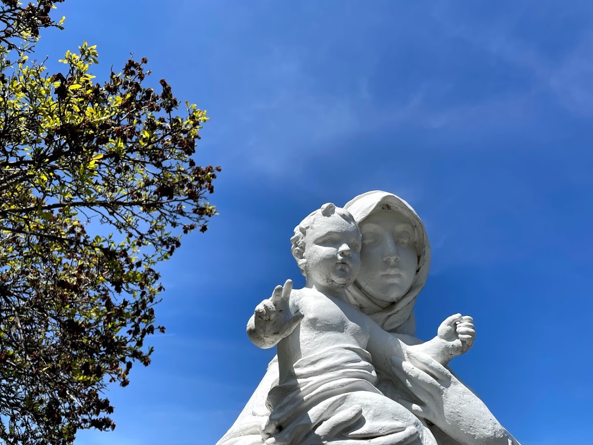 Group cover image