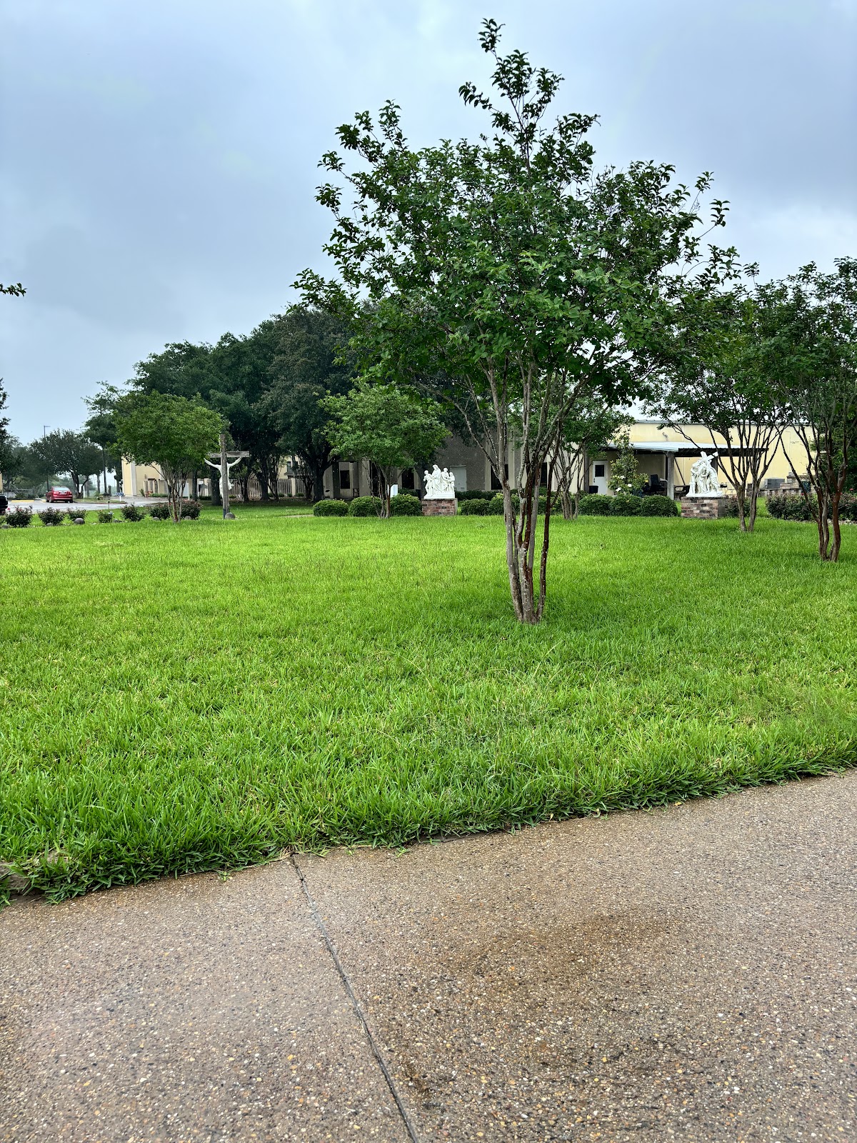 Group cover image