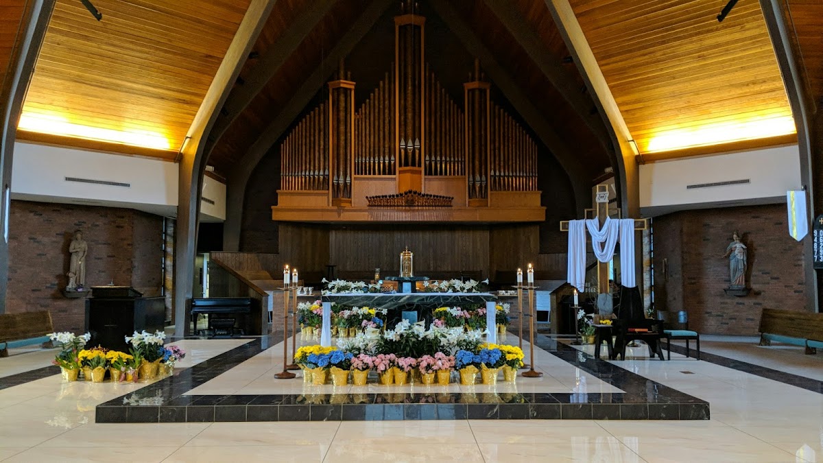 Group cover image