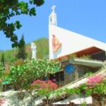 Group logo of Bãi Dâu