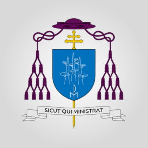 Group logo of ĐTGM Phanxicô Xaviê Lê Văn Hồng