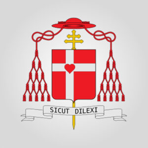Group logo of ĐHY Gioan Baotixita Phạm Minh Mẫn