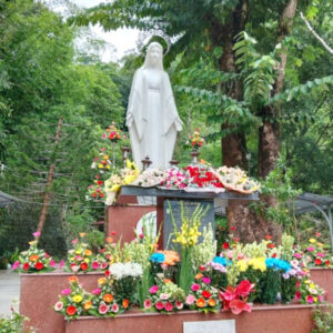 Group logo of Tượng đài Đức Mẹ An Bình