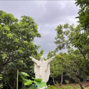 Group logo of Đan Viện Cát Minh Chúa Thánh Thần (Cát Minh Buôn Mê Thuột)