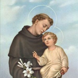 Group logo of Học Viện Thánh Antôn Thủ Đức - OFM Conv