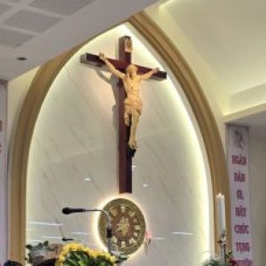 Group logo of NT Đức Mẹ Lộ Đức (Cây Dương)