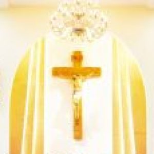 Group logo of Dòng Chúa Giêsu Hài Đồng (IJS)